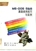 MS-DOS 5&6高级使用技巧与实例