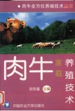 肉牛家庭养殖技术