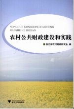 农村公共财政建设和实践