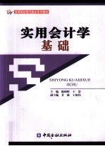 实用会计学基础