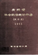 青海省社会经济统计年鉴  试行本  1985