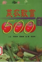 菜农致富500问