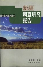 新疆调查研究报告  2005