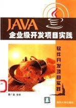 Java企业级开发项目实践