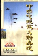 中国电视散文精品选  2002