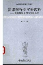 裁判解释原理与实验操作