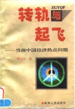 转轨与起飞  当前中国经济热点问题