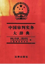 中国审判实务大辞典  下