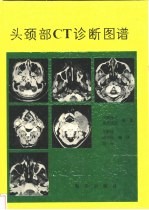 头颈部CT诊断图谱