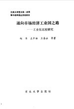 通向市场经济工业国之路  工业化比较研究