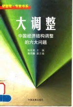 大调整  中国经济结构调整的六大问题