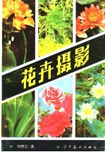 花卉摄影