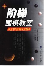 阶梯围棋教室  从业余6段到专业棋手