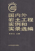 国内外岩土工程实例和实录选编