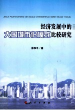 经济发展中的大国城市化模式比较研究