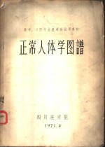 正常人体学图谱