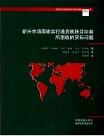 新兴市场国家实行通货膨胀目标制所面临的实际问题