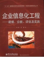 企业信息化工程  建模、诊断、评估及实践