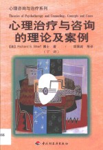 心理治疗与咨询的理论及案例·第2卷