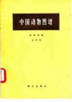 中国动物图谱  软体动物  第4册