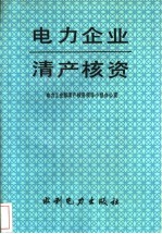 电力企业清产核资