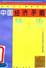 中国经济矛盾导论  中国政治经济学的新思路