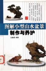 图解小型山水盆景制作与养护