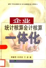 企业统计核算会计核算一体化