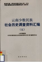 云南少数民族社会历史调查资料汇编  5