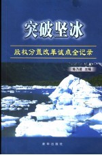 突破坚冰  股权分置改革试点全记录