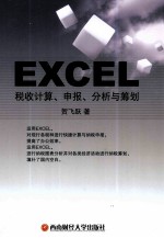 Excel税收计算、申报、分析与筹划