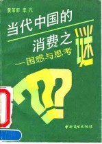 当代中国的消费之谜——困惑与思考