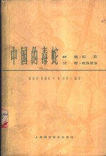 中国的毒蛇  种类·形态·分布·咬伤防治