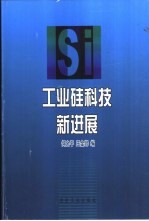 工业硅科技新进展