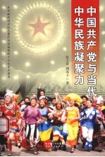 中国共产党与当代中华民族凝聚力