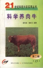 科学养肉牛