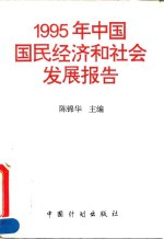 1995年中国国民经济和社会发展报告