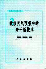 数值天气预报中的若干新技术