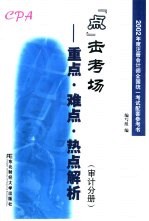 2002年度注册会计师全国统一考试配套参考书  “点”击考场-重点、难点、热点解析  审计分册