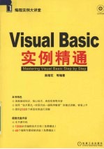 Visual Basic实例精通