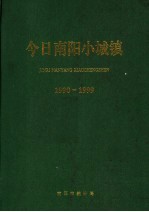 今日南阳小城镇  1990-1999