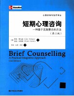 短期心理咨询  一种基于实践整合的方法  第2版