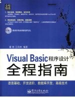 Visual Basic程序设计全程指南