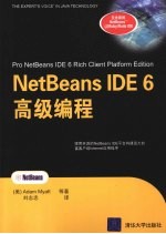 Netbeans IDE 6高级编程