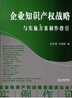 企业知识产权战略与实施方案制作指引