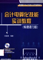 会计电算化技能实训教程  畅捷通T3版