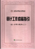 审计工作底稿指引  进一步审计程序之二