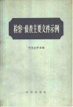 检察-侦查主要文件示例