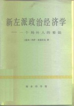 新左派政治经济学  一个局外人的看法