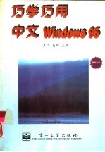 巧学巧用中文 Windows 95